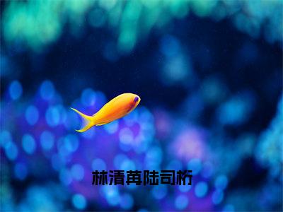 小说林清苒陆司桁无弹窗免费阅读-新上热文小说（林清苒陆司桁）讲的是什么