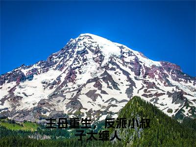 主母重生，反派小叔子太缠人（宋听澜小说）最新在线阅读_宋听澜小说免费阅读