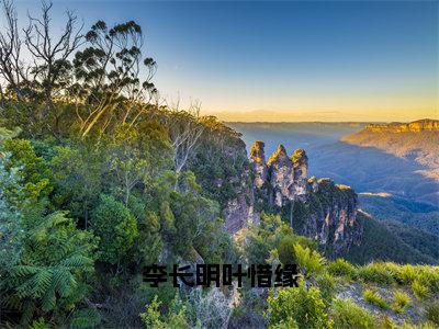 李长明叶惜缘（叶惜缘李长明最新章节）在线阅读-免费小说李长明叶惜缘全文阅读