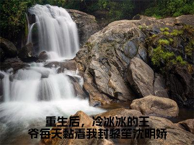 沈明娇封黎笙小说免费（重生后，冷冰冰的王爷每天黏着我封黎笙沈明娇免费阅读）重生后，冷冰冰的王爷每天黏着我封黎笙沈明娇全文免费阅读无弹窗大结局_沈明娇封黎笙小说最新章节列表