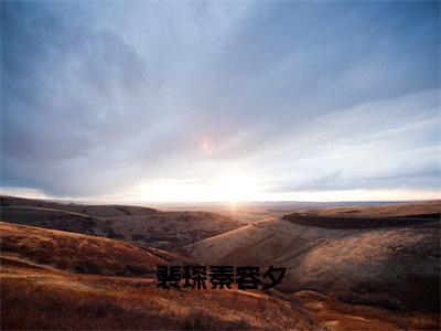 秦容夕裴琛（秦容夕裴琛）是什么小说-（裴琛秦容夕）无弹窗免费阅读大结局最新章节列表_笔趣阁