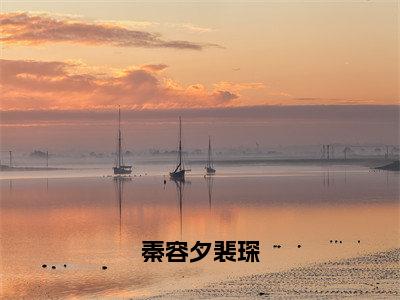 秦容夕裴琛（秦容夕裴琛）全文免费阅读无弹窗-（秦容夕裴琛）秦容夕裴琛小说全文在线赏析