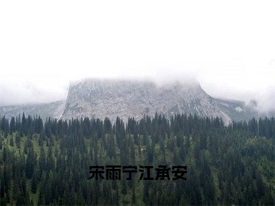 宋雨宁江承安（宋雨宁江承安）全文免费阅读无弹窗大结局_宋雨宁江承安全文免费阅读无弹窗最新章节列表