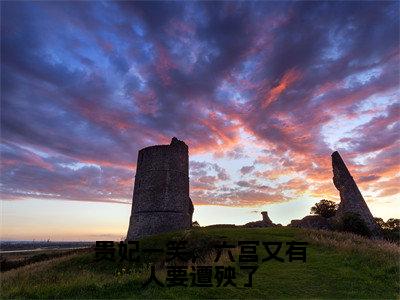 沈嫣小说贵妃一笑，六宫又有人要遭殃了完整版阅读贵妃一笑，六宫又有人要遭殃了全文在线赏析