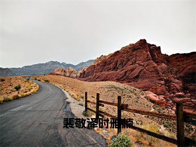 裴敬泽时雅楠（时雅楠裴敬泽）热门小说最新章节阅读-（裴敬泽时雅楠）时雅楠裴敬泽全文免费阅读