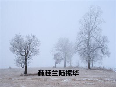 林桂兰陆振华全文免费阅读_林桂兰陆振华（林桂兰陆振华）最新章节列表笔趣阁