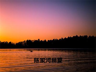 林夏陈家河陈家河林夏快手热文整理-林夏陈家河小说陈家河林夏今日更新章节