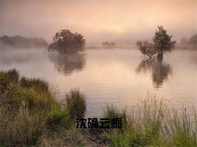 云栀沈确（沈确云栀）在哪免费看-小说（云栀沈确）沈确云栀全文完整版免费阅读