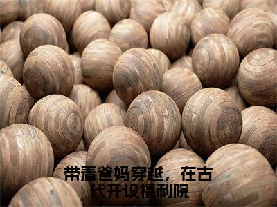 （带着爸妈穿越，在古代开设福利院）全文免费阅读无弹窗大结局_（八月）章节列表_笔趣阁