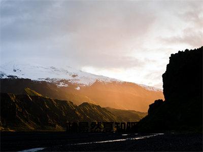 林景然夏知暖（夏知暖林景然小说）全文免费阅读无弹窗大结局_林景然夏知暖小说夏知暖林景然列表