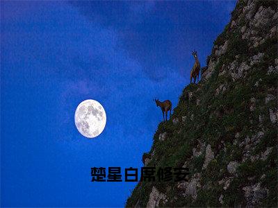 （席修安楚星白）全文免费阅读无弹窗大结局_楚星白席修安完整版最新阅读_笔趣阁（席修安楚星白）