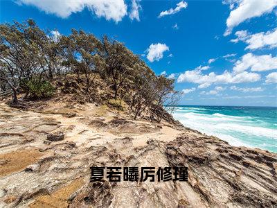 夏若曦厉修瑾（夏若曦厉修瑾）全文免费阅读无弹窗大结局_（夏若曦厉修瑾阅读无弹窗）夏若曦厉修瑾最新章节列表