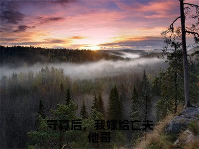 守寡后，我嫁给亡夫他哥（阿蕊秦烈）小说全文免费阅读_（阿蕊秦烈）小说全文无删减版在线阅读