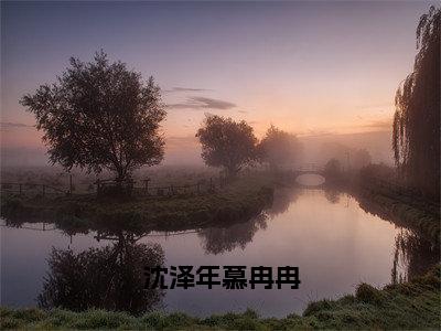 沈泽年慕冉冉（慕冉冉沈泽年）精选热门小说-小说（沈泽年慕冉冉）慕冉冉沈泽年全文免费阅读最新章节列表