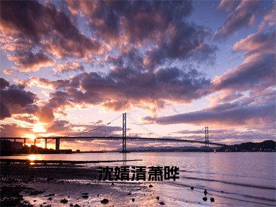 沈婧清萧晔（沈婧清萧晔）全文免费阅读无弹窗大结局_（沈婧清萧晔小说免费阅读）_笔趣阁