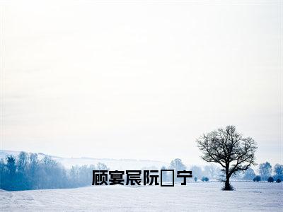 顾宴宸阮玥宁（顾宴宸阮玥宁）新上热文免费阅读-顾宴宸阮玥宁（顾宴宸阮玥宁）无广告在线阅读