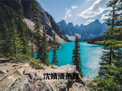 沈婧清萧晔（沈婧清萧晔）完整版小说阅读_沈婧清萧晔全文免费阅读最新章节列表_笔趣阁