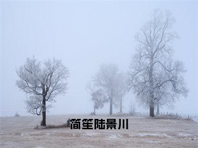 简笙陆景川小说（陆景川简笙）全文免费阅读无弹窗大结局_简笙陆景川小说免费阅读最新章节列表笔趣阁（陆景川简笙）