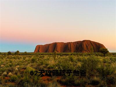 钱星雯程明磊独家小说62天攻略孩子他爸-钱星雯程明磊无删版小说推荐