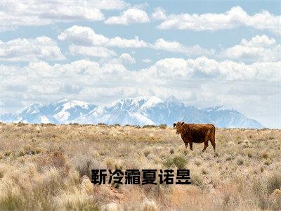 靳冷霜夏诺昱（靳冷霜夏诺昱全章节完整版）免费阅读-靳冷霜夏诺昱全文无删减阅读