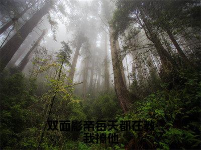 双面影帝每天都在教我撩他（叶挽星）小说全文免费阅读无弹窗-双面影帝每天都在教我撩他小说全文免费阅读大结局笔趣阁