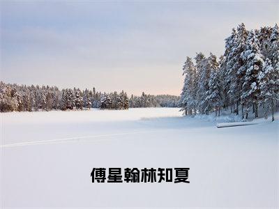 林知夏傅星翰全文阅读-傅星翰林知夏小说免费阅读-笔趣阁