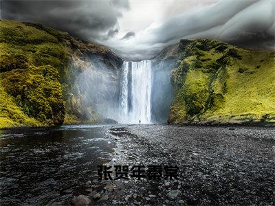 张贺年秦棠（秦棠张贺年）多人推荐-秦棠张贺年张贺年秦棠好看的小说完整版全文