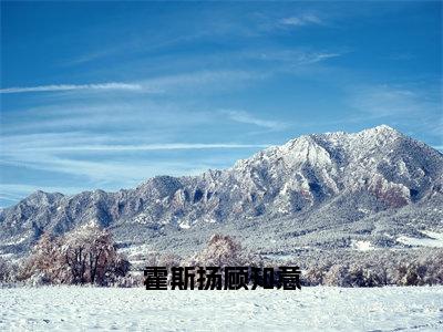 霍斯扬顾知意顾知意霍斯扬正版小说最新章节在线阅读-最火热点小说霍斯扬顾知意最新更新