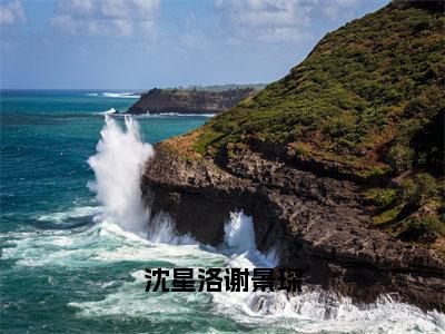 沈星洛谢景琛（沈星洛谢景琛）全文免费阅读无弹窗大结局_（沈星洛谢景琛）沈星洛谢景琛最新章节列表