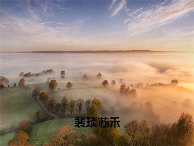 裴琰苏禾（苏禾裴琰）最新章节在线阅读-老书虫推荐裴琰苏禾小说