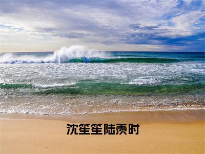 沈笙笙陆羡时（沈笙笙陆羡时）最新免费阅读-沈笙笙陆羡时小说在线阅读（后续+全集）