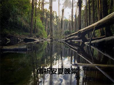 夏晚棠傅祈安小说全文免费阅读_夏晚棠傅祈安（傅祈安夏晚棠）最新章节列表笔趣阁