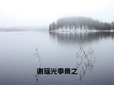 谢瑶光季景之小说全文免费阅读无弹窗，（季景之谢瑶光）小说全文免费阅读