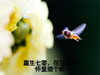 林悠悠江泽言全文（重生七零，在江少的怀里撒个娇）全文免费阅读无弹窗大结局_重生七零，在江少的怀里撒个娇免费最新章节列表_笔趣阁