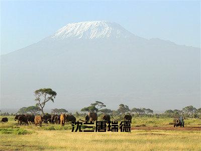 沈兰唐瑞德抖音热推小说全集无删减唐瑞德沈兰最新章节列表免费阅读_（沈兰唐瑞德）最新章节列表笔趣阁