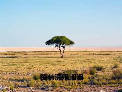 宋湘湘楚林深全文（楚林深宋湘湘）全文免费阅读无弹窗大结局_宋湘湘楚林深免费最新章节列表_笔趣阁（楚林深宋湘湘）