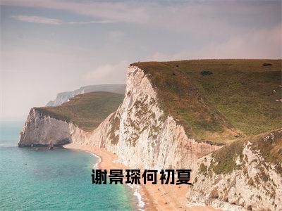 何初夏谢景琛免费阅读（谢景琛何初夏）全文免费阅读无弹窗大结局_何初夏谢景琛免费阅读最新章节列表