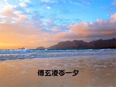 傅玄凌岑一夕（岑一夕傅玄凌）小说精彩免费内容_傅玄凌岑一夕最新章节全文阅读（岑一夕傅玄凌）