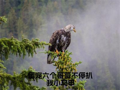 陆思棉（团宠六个哥哥不停扒我小马甲）小说免费阅读无弹窗完整版_（团宠六个哥哥不停扒我小马甲）陆思棉最新章节列表笔趣阁