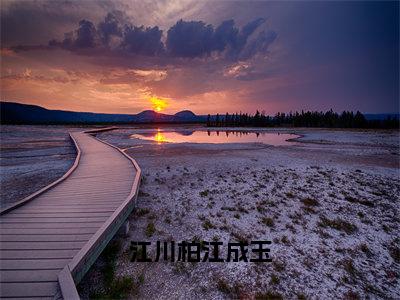 江成玉江川柏（江川柏江成玉）全文免费阅读_江成玉江川柏小说最新章节列表笔趣阁