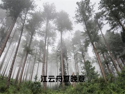 江云舟夏晚意（夏晚意江云舟）全文免费阅读-小说江云舟夏晚意大结