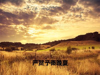 严贺予秦晚夏（秦晚夏严贺予）小说免费阅读无弹窗大结局_（秦晚夏严贺予阅读无弹窗）最新章节列表