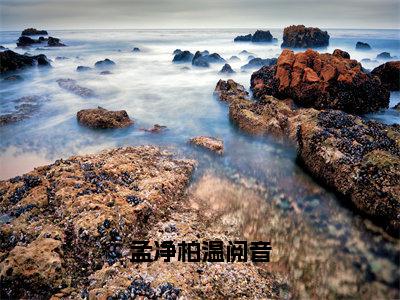 温阅音孟净柏小说全文免费阅读-孟净柏温阅音在线阅读的小说完整版