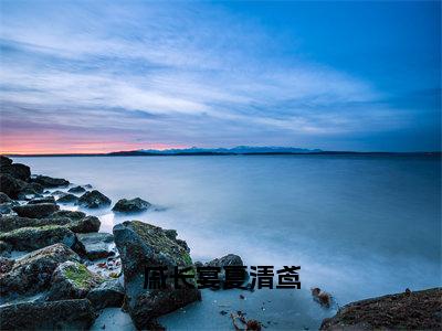 戚长宴夏清鸢最新章节（戚长宴夏清鸢）全文免费阅读无弹窗大结局_戚长宴夏清鸢免费阅读