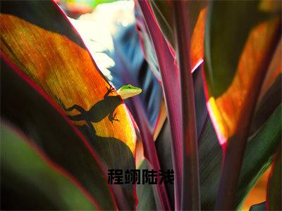 程翊陆浅（陆浅程翊）小说全文免费_程翊陆浅（陆浅程翊）最新章节目录笔趣阁