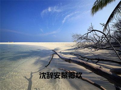 沈辞安黎卿欢黎卿欢沈辞安小说免费阅读-沈辞安黎卿欢抖音新书热荐