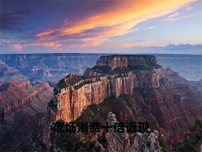 夜场消费十倍返现（秦风）全文免费在线阅读_夜场消费十倍返现全文免费阅读无弹窗大结局