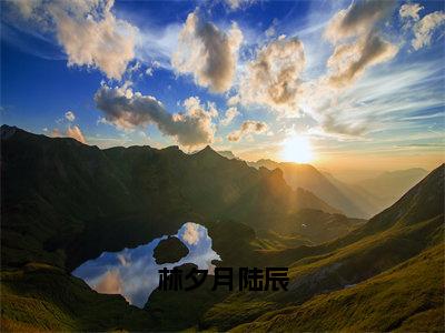 林夕月陆辰（陆辰林夕月）全文无弹窗大结局_林夕月陆辰在线阅读无弹窗最新章节列表_笔趣阁