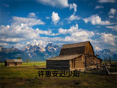 （许惠安迟少珩）许惠安迟少珩全文免费阅读无弹窗_（许惠安迟少珩小说免费阅读）最新章节列表笔趣阁