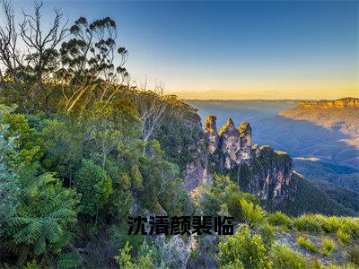 裴临沈清颜（沈清颜裴临）全文免费阅读无弹窗大结局_（裴临沈清颜）沈清颜裴临最新章节列表